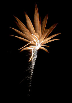 beautiful fireworks with expoloding colors against a dark sky