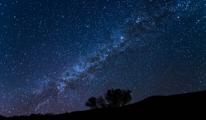 Tree silhouette, against the Milky Way at twilight © Darcey