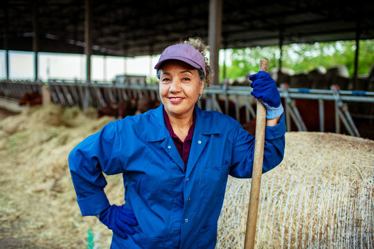 Confident woman farm worker with tool in cattle barn