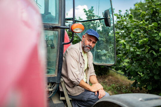 Bearded farmer resting on tractor in orchard