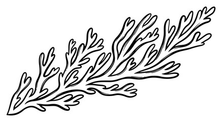 Seaweed branch or underwater coral reef plant in hand drawn style © AnimalZOO