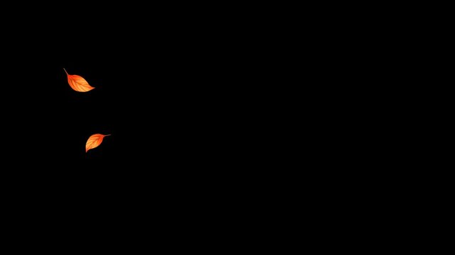 Dynamic Falling Leaves Animation with Alpha Channel Transparent Background