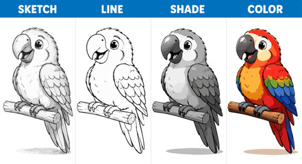 Cartoon parrot drawing tutorial set, cute macaw bird character in sketch line shade and color stages, educational tropical animal vector illustration © preety