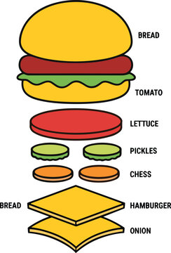Exploded hamburger diagram with labeled ingredients in vertical stack design