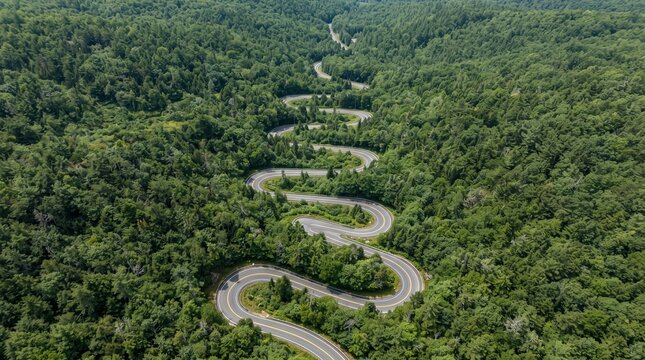 Aerial View of Winding Mountain Road Through Dense Green Forest