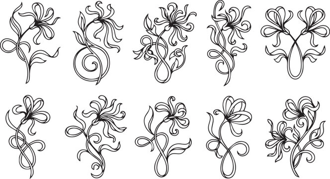 Black line art lily floral set swirl flourish leaf botanical element collection vector illustration