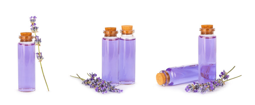 Lavender essential oil in glass bottles isolated on white background with fresh lavender fowers. Natural aromatherapy. Organic skincare. Herbal cosmetic serum. Spa wellness treatment. Botanical 