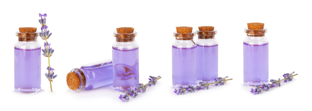 Lavender essential oil in glass bottles isolated on white background with fresh lavender fowers. Natural aromatherapy. Organic skincare. Herbal cosmetic serum. Spa wellness treatment. Botanical 