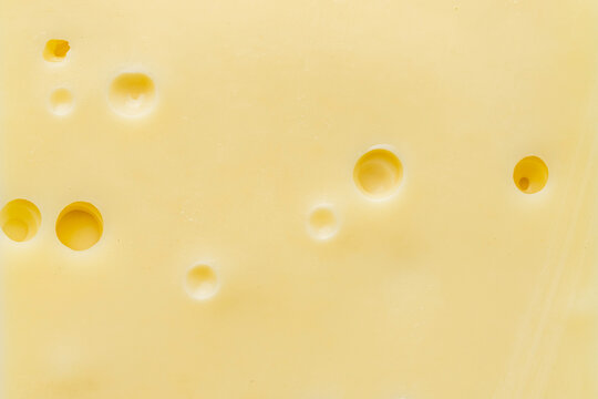 Close up of a slice of Swiss cheese 