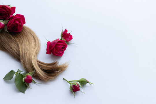 Hair with red roses flowers. Closeup. On a white background.