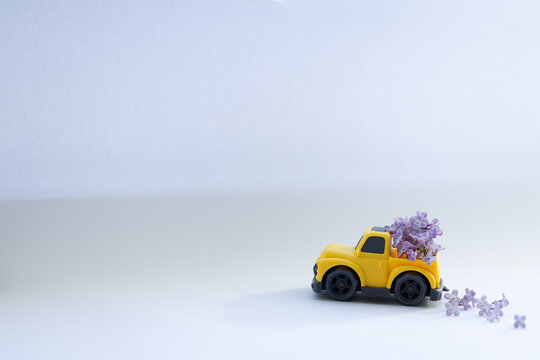 Yellow pickup retro toy car delivering bouquet of lilac flowers. 