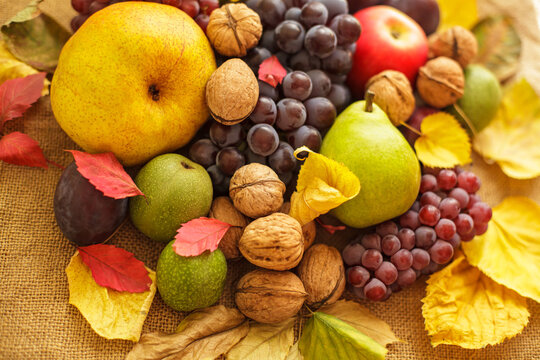 Fresh autumn harvest composition with fruits nuts and fall leaves on burlap