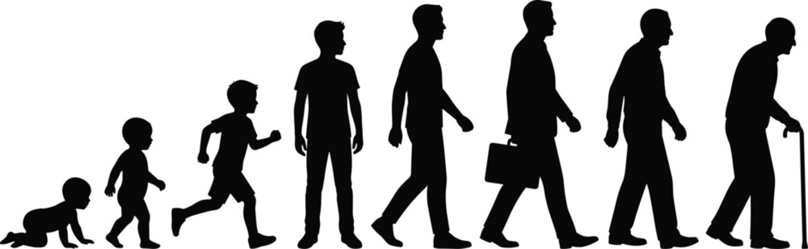 Human life cycle stages silhouette vector illustration showing growth from baby to old age man