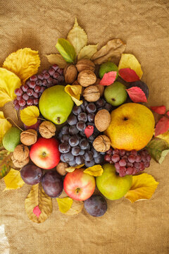 Fresh autumn harvest composition with fruits and leaves on burlap background