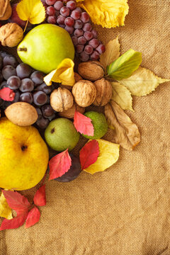 Fresh autumn harvest composition with fruits and leaves on burlap background