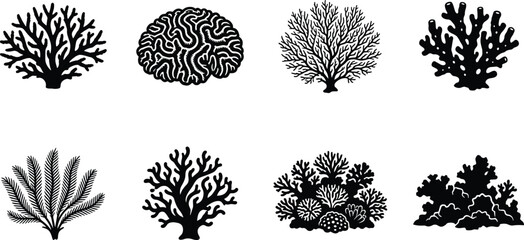 Set of black silhouette coral reef elements for underwater ocean and marine life graphic designs © MdMahedi