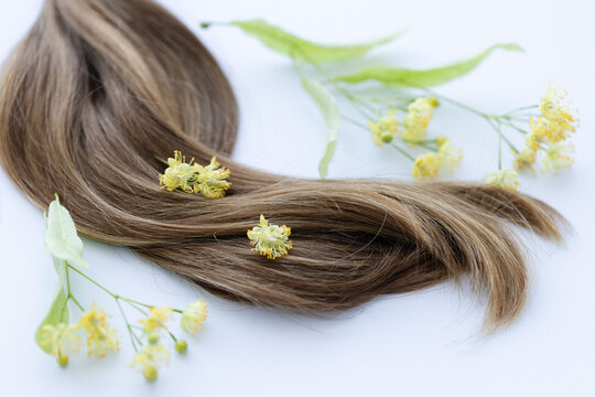 Female hair with yellow linden flowers. Closeup