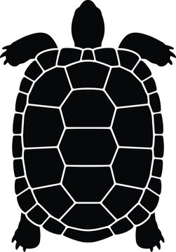 Top view black silhouette of a turtle with detailed shell pattern isolated on a white background