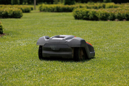 Robotic lawn mower cuts grass autonomously in a residential garden during daytime. Smart technology assists in lawn care.