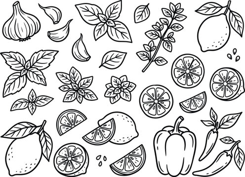 Kitchen seasonings and vegetables vector set, garlic, fresh basil, oregano sprig, citrus lemon slices, sweet bell pepper, chili pepper clipart