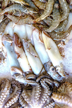 Fresh raw shrimp, whole squid and octopus arranged together on crushed ice at a seafood market.
