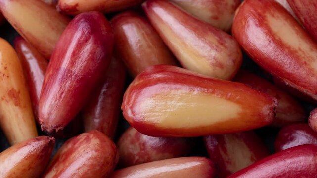 Closeup of cooked pinions or araucaria seeds. Food backdrop