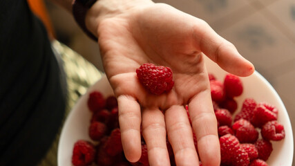 Human hand holding a fresh red raspberry on an open palm over a white bowl filled with ripe berries. © kyrylovasyliev