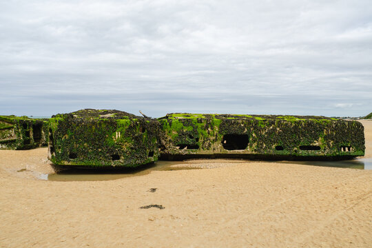 Abandoned World War II concrete landing craft wreckage and military caissons heavily covered with green moss and algae on the sandy coast of Omaha Beach in Normandy, France, under a cloudy sky.