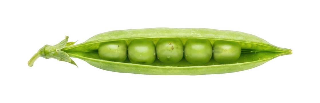 Fresh pea pod png Green pea pod cutout Opened pea pod png Organic pea pod cutout Vegetable pea pod png Healthy pea pod cutout Sweet pea pod isolated transparent background image