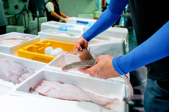 Fishmonger inspect fresh fish at seafood market counter
