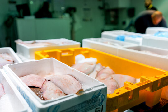 Fresh fish in crates at a wholesale market