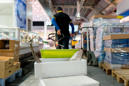 Fishmonger transport fish in seafood market warehouse