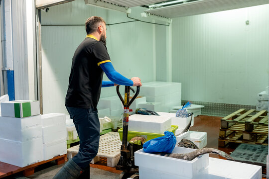 Fishmonger move fish boxes in cold storage warehouse
