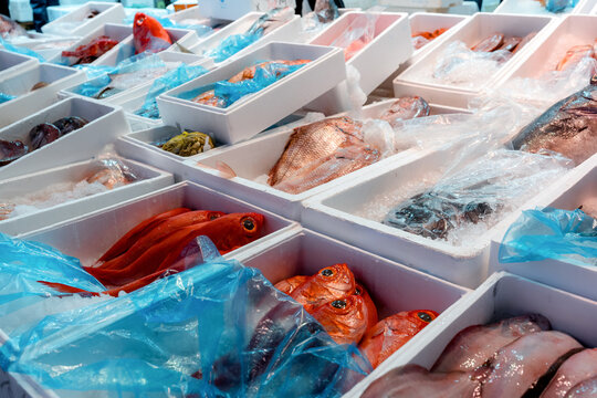Fresh fish display in a wholesale seafood market