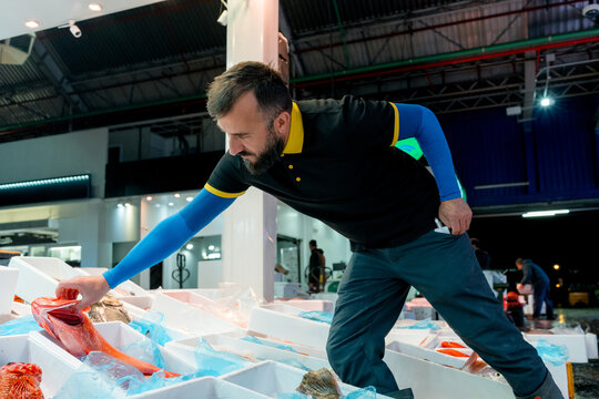Fishmonger select fresh fish at wholesale market