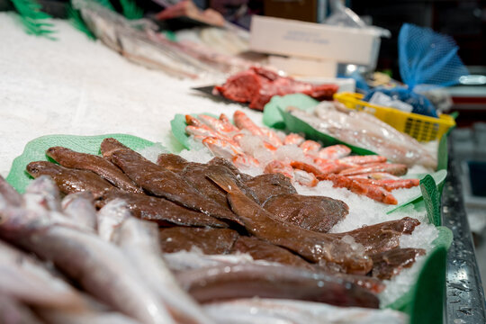 Fresh fish and seafood display ready for a fish shop
