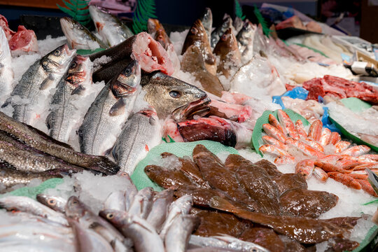 Fresh seafood display at fishmonger market counter