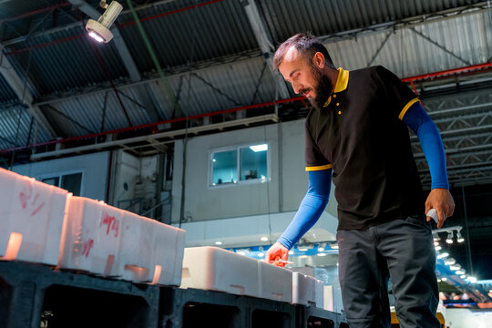 Fishmonger inspect fish box at wholesale market