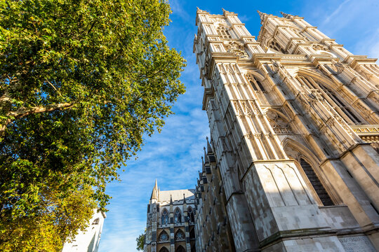View of the historic Westminster Abbey with its intricate Gothic stone towers rising against a bright blue sky, framed by a lush green tree in London, England, United Kingdom.