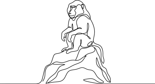 Continuous one line drawing of a sitting monkey on a rock.