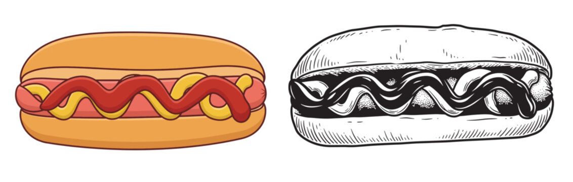 Classic Hot Dog Sandwich Vector Set with Mustard and Ketchup in Flat Color Illustration and Detailed Vintage Engraving Line Art Style