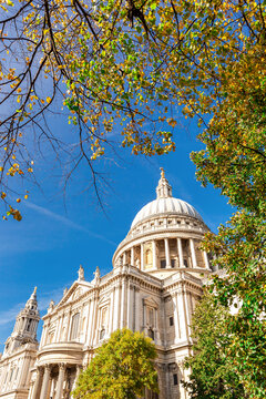 View of St. Paul's Cathedral with its iconic dome framed by autumn foliage against a clear blue sky in London, England, United Kingdom.