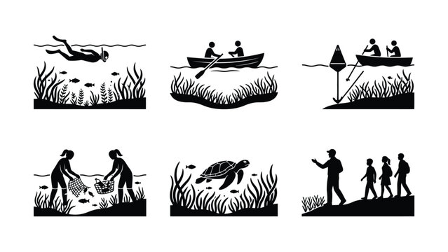 People enjoying water activities and wildlife spotting