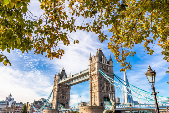 View of Tower Bridge framed by autumn foliage under a clear blue sky with the Shard in the background in London, England, United Kingdom.