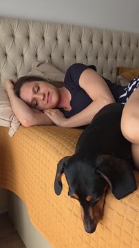 Mulher com cachorros da ra&ccedil;a duchshund 
