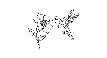 Continuous line art of a hummingbird drinking nectar from a tropical flower. © nugraha