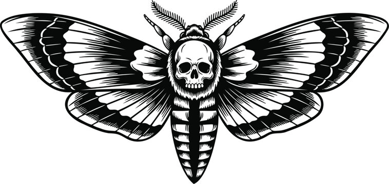 Detailed gothic vector illustration of a mysterious death head hawkmoth displayed symmetrically in high contrast on white.