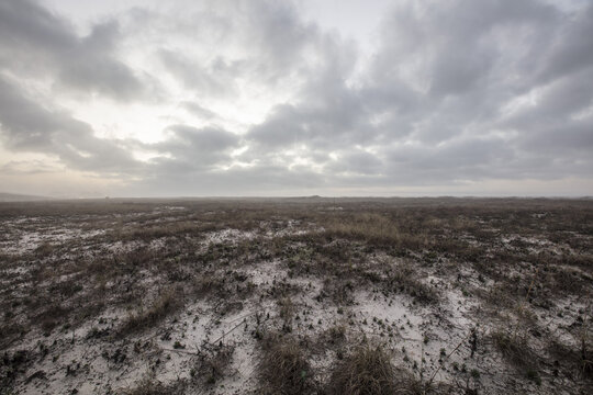 View of the expansive sandy coastal dunes with sparse dry vegetation under a vast, overcast cloudy sky in Gulf Shores, Alabama, United States.