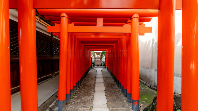Vibrant red torii at Osaka Tenmangu Shrine