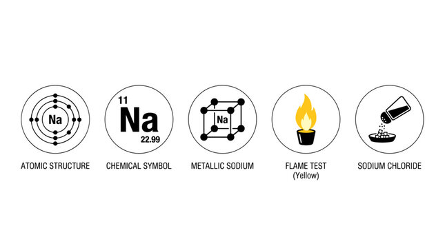Educational Infographic Showing Sodium Chemical Properties and Structure